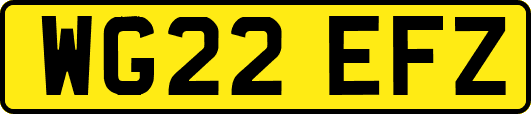 WG22EFZ