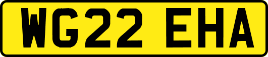 WG22EHA