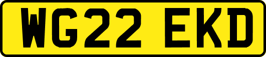 WG22EKD