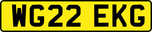 WG22EKG