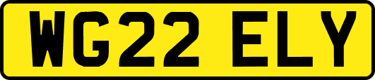 WG22ELY