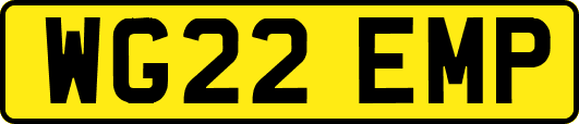 WG22EMP