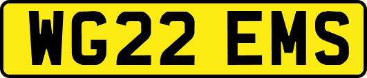 WG22EMS