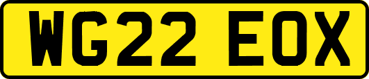 WG22EOX