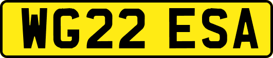 WG22ESA