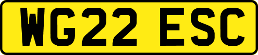 WG22ESC