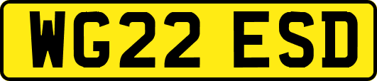 WG22ESD