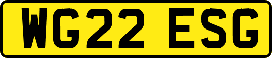 WG22ESG
