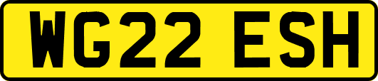 WG22ESH