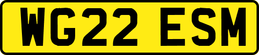 WG22ESM