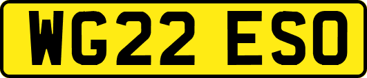 WG22ESO