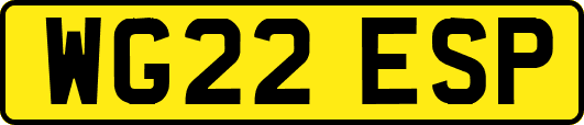 WG22ESP