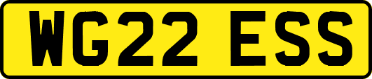 WG22ESS