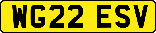 WG22ESV