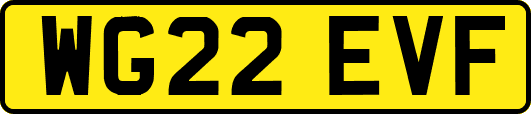 WG22EVF