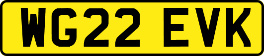 WG22EVK