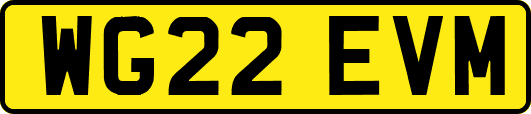 WG22EVM