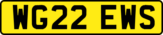 WG22EWS