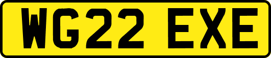 WG22EXE