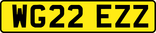 WG22EZZ