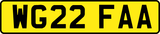 WG22FAA
