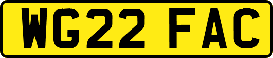WG22FAC