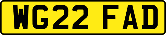 WG22FAD