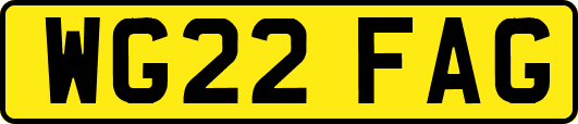 WG22FAG
