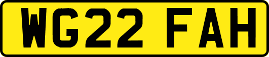 WG22FAH