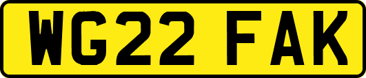 WG22FAK