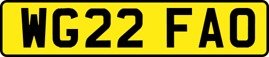 WG22FAO