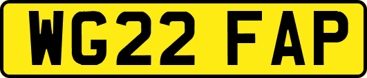 WG22FAP