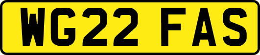 WG22FAS