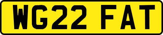 WG22FAT