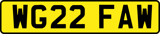WG22FAW