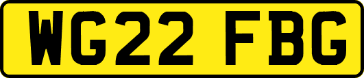 WG22FBG