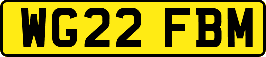 WG22FBM