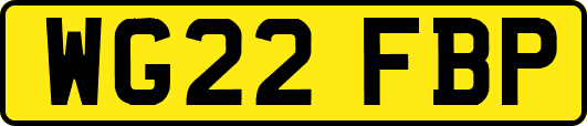 WG22FBP