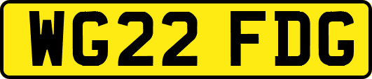 WG22FDG