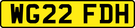 WG22FDH
