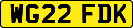 WG22FDK