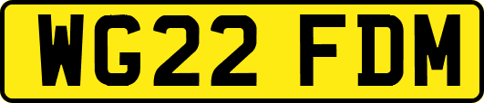 WG22FDM