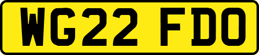 WG22FDO