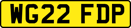 WG22FDP