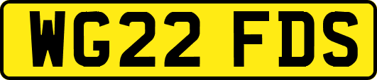 WG22FDS