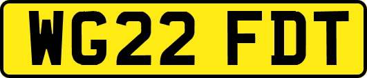 WG22FDT