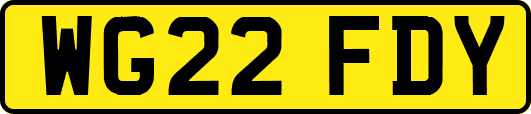 WG22FDY
