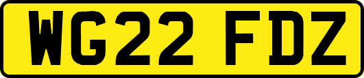 WG22FDZ