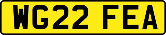 WG22FEA
