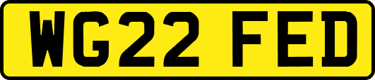 WG22FED